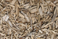 biomass boilers Ratcliff